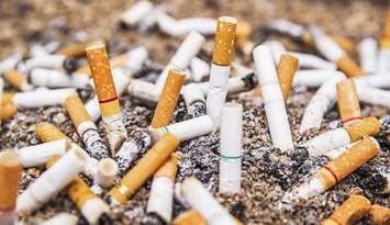 Cigarette butts. Photo courtesy of © Can Stock Photo / paktaotik