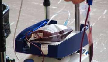 Blood donated during a blood donation clinic in Chatham-Kent (Photo by Jake Kislinsky)