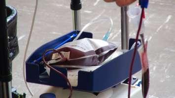 Blood donated during a blood donation clinic in Chatham-Kent (Photo by Jake Kislinsky)