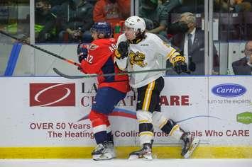 Sting forward Justin O'Donnell battles for a loose puck vs. Windsor (Photo courtesy of Metcalfe Photography)