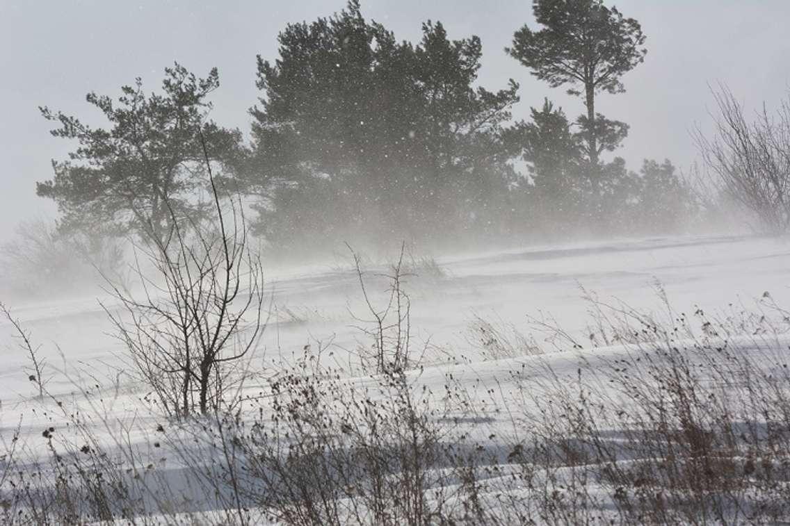 Windy conditions file photo. (Orest Lyzhechka / iStock / Getty Images Plus)