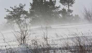 Windy conditions file photo. (Orest Lyzhechka / iStock / Getty Images Plus)