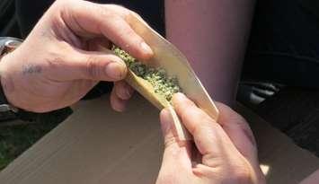 A joint is rolled during 4/20 at London's Victoria Park, April 20, 2016. (Photo by Kirk Dickinson)