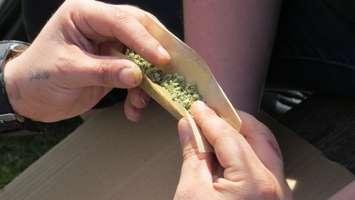 A joint is rolled during 4/20 at London's Victoria Park, April 20, 2016. (Photo by Kirk Dickinson)