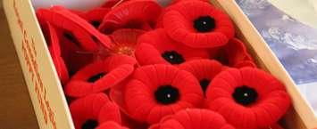 According to the Royal Canadian Legion, you could be disrespecting veterans by wearing any other type of poppy aside from the ones sanctioned and sold by the organization. November 5, 2018. (Photo by Greg Higgins) 