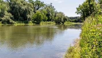 Bayfield