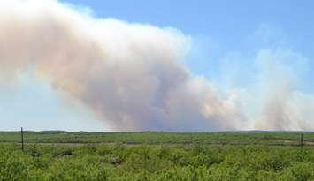 Wildfire smoke. Photo courtesy of PublicDomainPictures via pixabay.