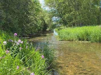 Ontario Water Quality testing started near Harriston.  Photo from Maitland Valley Conservation.