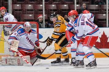 Anthony Salinitri battles near the Kitchener crease. Feb 5, 2015. (Photo by Metcalfe Photography)