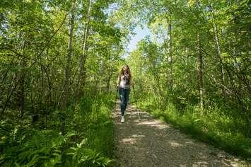 A woman walking through a park. (Photo from Ontario Parks Twitter account)