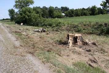 Kent Bridge, Ontario was hit by a severe thunderstorm on July 28, leaving damage throughout the neighbourhood. Photo by Michael Hugall) 