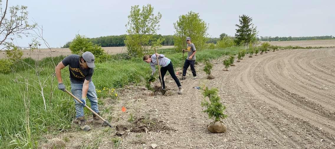 Ausable Bayfield Conservation tree planting crew. Photo from ABCA