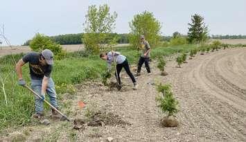 Ausable Bayfield Conservation tree planting crew. Photo from ABCA