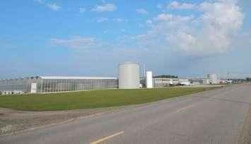 Greenhill Produce operation on Kent Bridge Rd. (Photo courtesy of Chatham-Kent.ca)