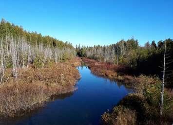 Beaver River.  Photo from GSCA