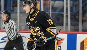 File photo Lukas Fischer (Image courtesy of the Sarnia Sting via X)