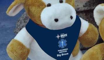 Big Bruce stuffed animal will help comfort children treated by Bruce County paramedics.  Photo from Bruce County