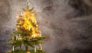 Photo of a burning Christmas tree by Jens Rother/iStock / Getty Images Plus