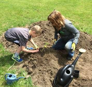 Macphail Memorial students with young plants.(photo submitted)