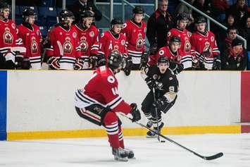 Sarnia Legionnaires take on the LaSalle Vipers, March 5, 2016. (Photos courtesy of Troy Shantz)