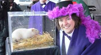 South Bruce Peninsula Mayor Janice Jackson with the new Wiarton Willie (photo by Jordan MacKinnon)