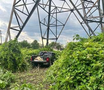 A pick up truck crashed into a hydro tower off the Howard Watson Nature Trail - July 11/23 (Photo Courtesy of Sarnia Police Service via Twitter)
