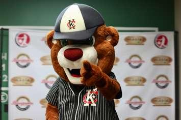 The Chatham-Kent Barnstormers mascot Lefty (Image from the Chatham-Kent Barnstormers via Facebook)