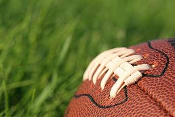 Football in grass. © Can Stock Photo / alptraum