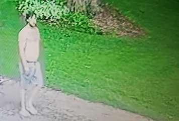 A person of interest in a home invasion at a home in West Perth, July 12, 2025. Photo provided by Perth OPP.