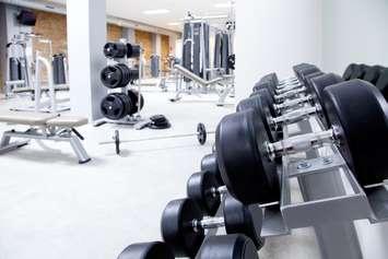 Fitness club weight training equipment. File photo courtesy of © Can Stock Photo / lunamarina