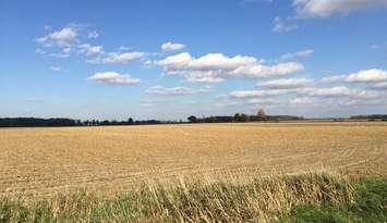 Farmland in the fall (CKINXNewsToday.ca stock photo by John Chippa)