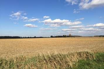 Farmland in the fall (CKINXNewsToday.ca stock photo by John Chippa)