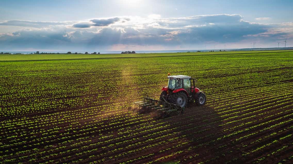 Stock photo of a farm field by valio84sl/iStock / Getty Images Plus