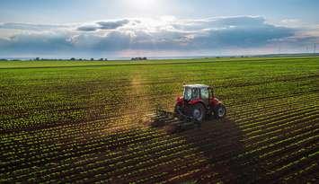 Stock photo of a farm field by valio84sl/iStock / Getty Images Plus