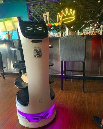 Bella, an automated servers assistant at The Crown Café Bar & Grill in Sarnia. August 2023. (Photo from Facebook)