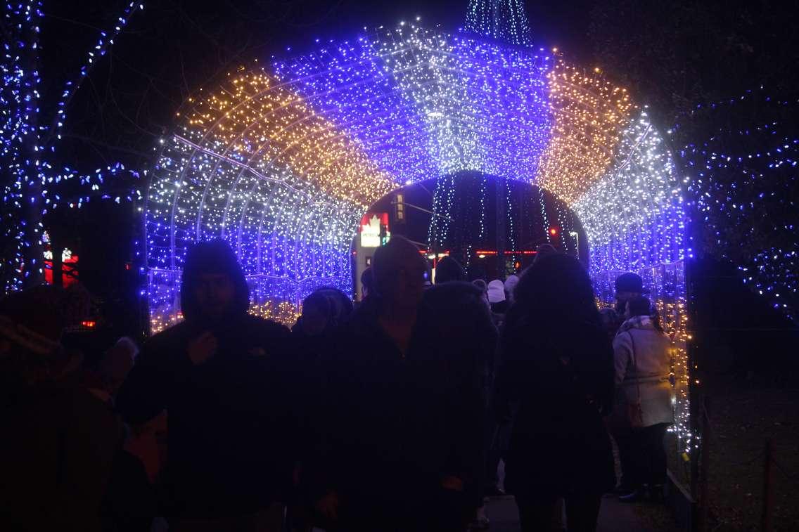 Bright Lights Windsor, Jackson Park, December 6, 2019. Photo by Mark Brown/Blackburn News.