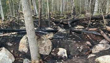 Damage from a wildfire on the Saugeen First Nation, October 21, 2024. Photo provided by Saugeen Fire and Emergency Services. 