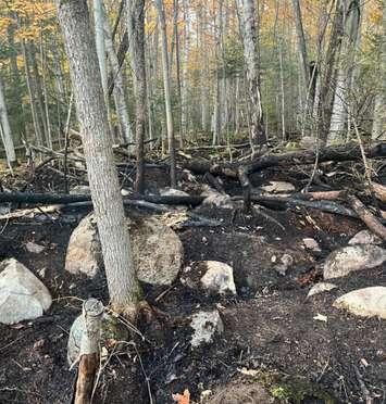 Damage from a wildfire on the Saugeen First Nation, October 21, 2024. Photo provided by Saugeen Fire and Emergency Services. 