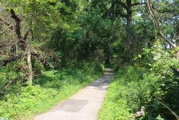Ojibway Park, August 2021 (Photo by Maureen Revait) 
