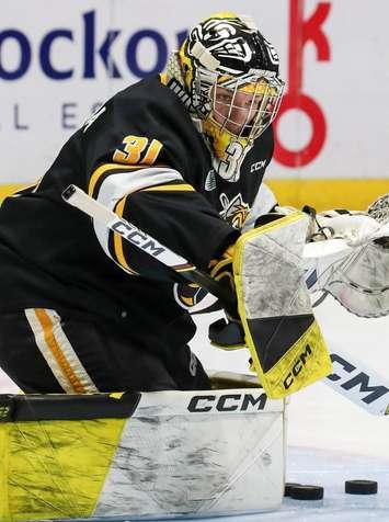 Sarnia Sting versus Saginaw Spirit Saturday, October 28 (Image courtesy of the Sarnia Sting via X) 