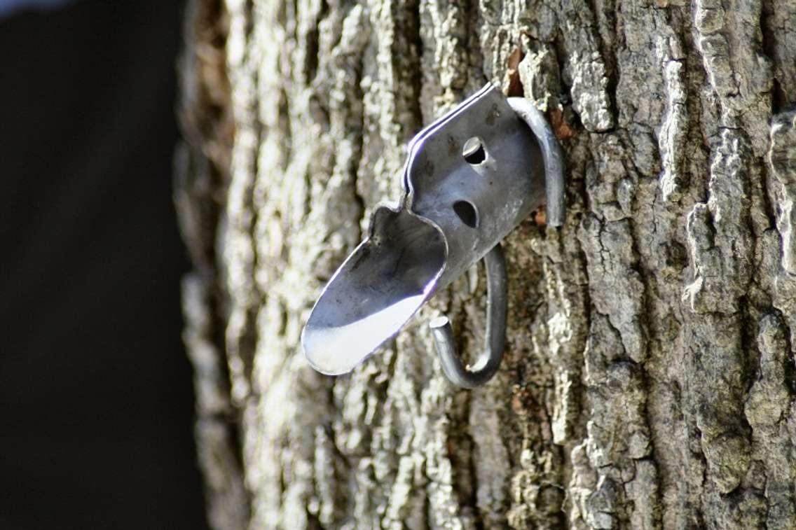 (Photo courtesy of morguefile.com)
