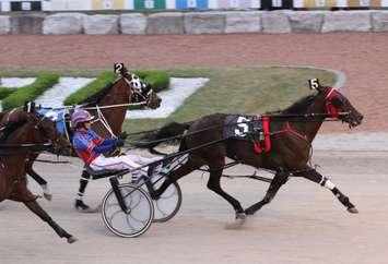 Natasha Day competes at Hanover Raceway, July 9th, 2016. Photo courtesy of Hanover Raceway.