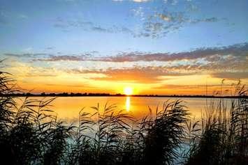 Sunset at Hillman Marsh. July 2017. (Photo courtesy of Robert Longphee)