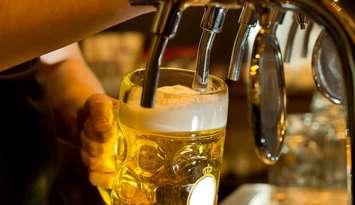 A bartender dispensing draught beer in a pub. File photo courtesy of © Can Stock Photo / Vicheslav
