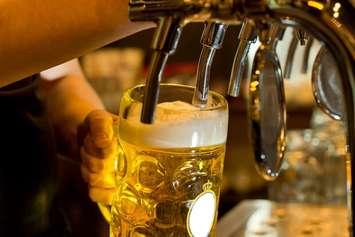 A bartender dispensing draught beer in a pub. File photo courtesy of © Can Stock Photo / Vicheslav