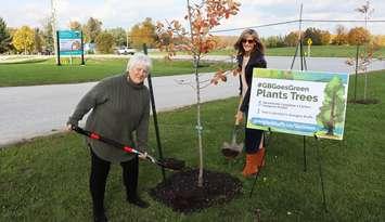 Georgian Bluffs Mayor Sue Carleton and Council Cathy Coburn plant a tree. Photo from Georgian Bluffs.