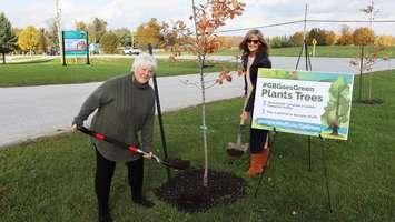 Georgian Bluffs Mayor Sue Carleton and Council Cathy Coburn plant a tree. Photo from Georgian Bluffs.