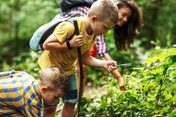 Children exploring nature (Image by BalanceFormcreative / iStock / Getty Images Plus via Getty Images)