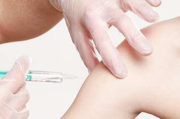 vaccine, shot, needle, vaccinations