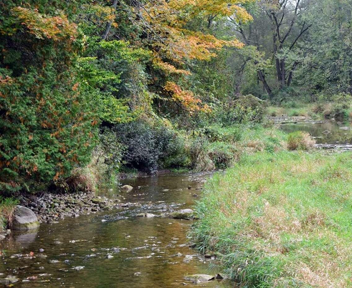 Ausable Bayfield Conservation photo